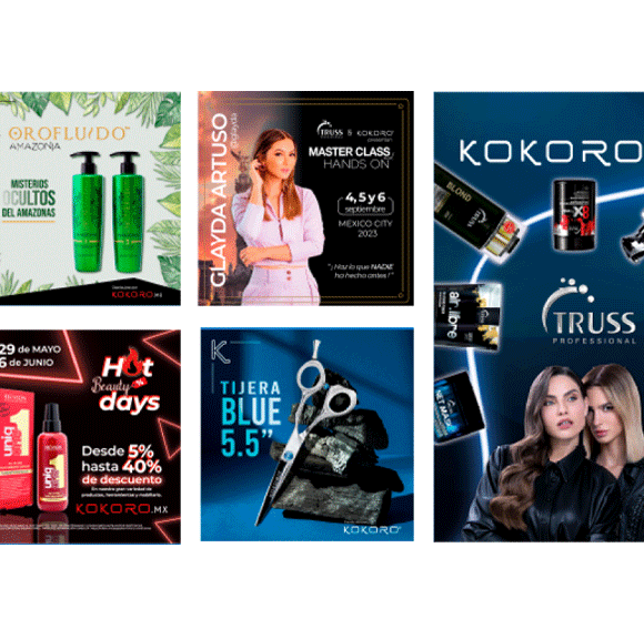 Proyecto KOKORO