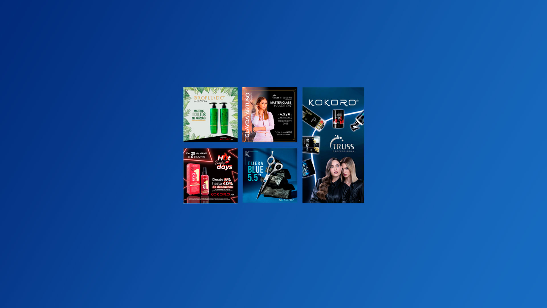PROYECTO KOKORO